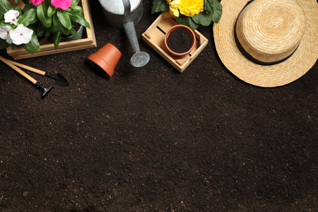 Flat lay composition with gardening tools and flowers on soil, space for textの写真素材