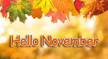 Text Hello November and autumn leaves on blurred background, bokeh effectの写真素材
