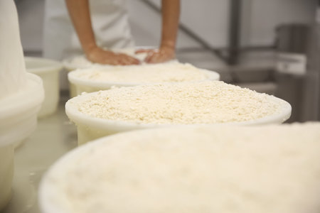 Molds with pressed curd at cheese factory and blurred worker on background