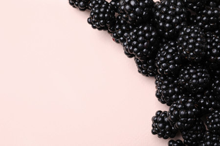 Tasty ripe blackberries on light background, flat lay. Space for textの写真素材