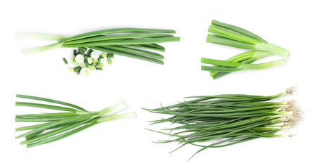 Collage with green spring onions on white background, top view. banner designの写真素材
