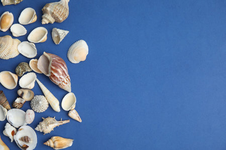 Different beautiful sea shells on blue background, flat lay. Space for textの写真素材