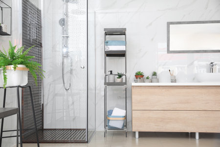 Bathroom interior with shower stall and counter. Idea for designの写真素材
