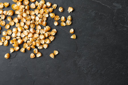 Raw dry corn seeds and space for text on gray background, flat lay. vegetable planting