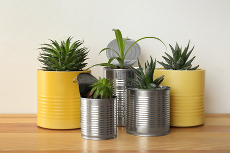 Beautiful houseplants in tin cans on wooden tableの写真素材