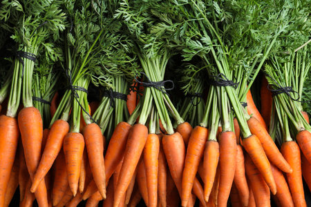 Bunches of tasty raw carrots as background, top viewの写真素材