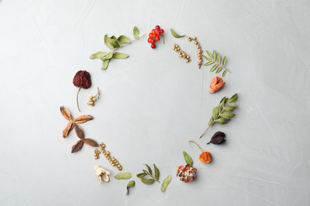 Dried flowers, leaves and berries arranged in shape of wreath on light grey background, flat lay with space for text. Autumnal aestheticの写真素材