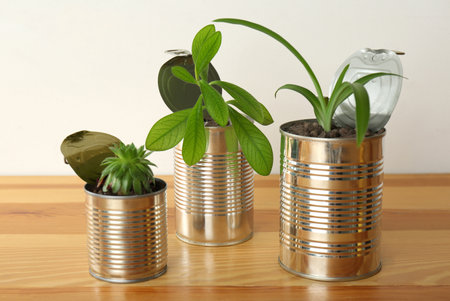 Beautiful houseplants in tin cans on wooden tableの写真素材