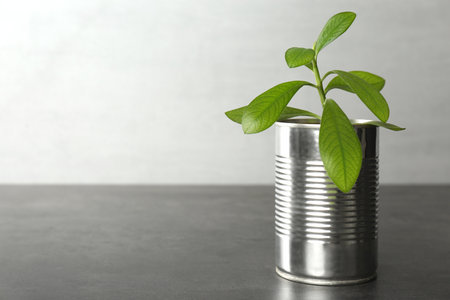 Beautiful houseplant in tin can on gray stone table, closeup. Space for textの写真素材