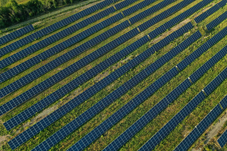 Solar panels installed outdoors, above view. alternative energy sources