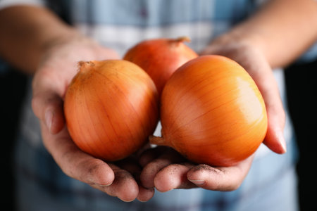 Farmer holding fresh ripe onions, closeup viewの写真素材