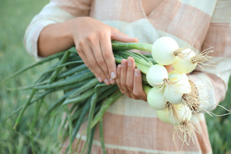 Woman holding fresh green onions outdoors, closeupの写真素材