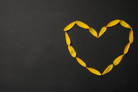 Heart shaped frame made with yellow sunflower petals on black background, flat lay. Space for textの写真素材