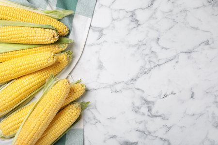 Bunch of corn cobs on white marble table, flat lay. Space for textの写真素材