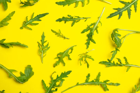 Fresh arugula on yellow background, flat layの写真素材