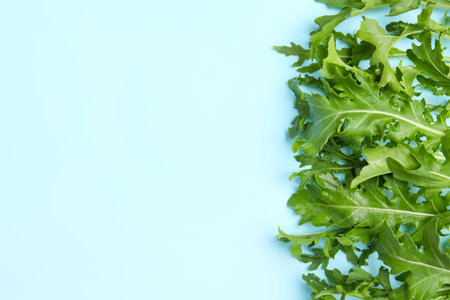 Fresh arugula on light blue background, flat lay. Space for textの写真素材