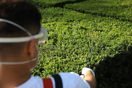 Worker spraying pesticide onto green bush outdoors, closeup. pest controlの写真素材
