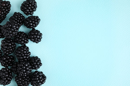 Tasty ripe blackberries on light blue background, flat lay. Space for textの写真素材