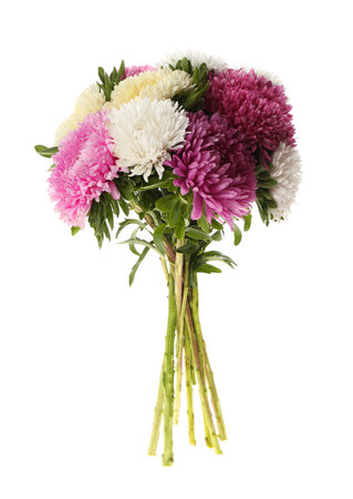 Bouquet of beautiful asters isolated on white. autumn flowersの写真素材