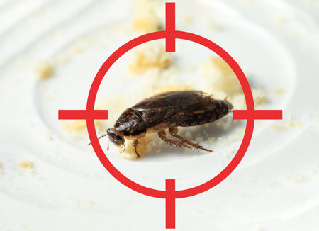 Cockroach with red target symbol on white plate. pest control