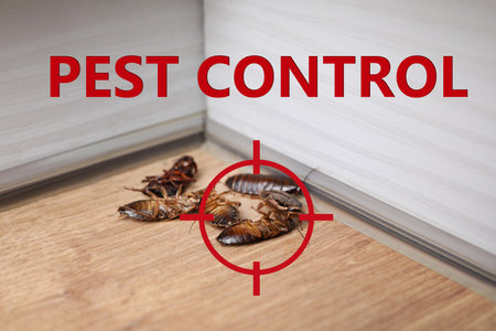 Cockroach with red target symbol on wooden surface. pest control