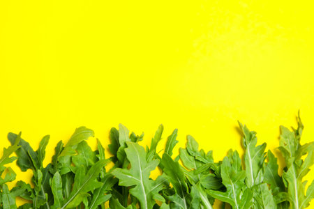 Fresh arugula on yellow background, flat lay. Space for textの写真素材