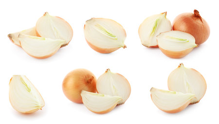 Set of yellow cut and whole onion on white background. banner designの写真素材