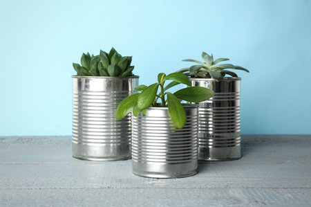 Beautiful houseplants in tin cans on light gray wooden tableの写真素材