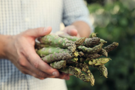 Man holding fresh raw asparagus outdoors, closeupの写真素材
