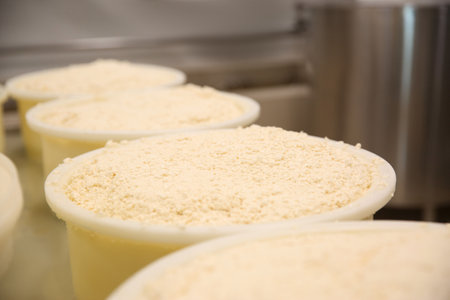 Molds with pressed curd at cheese factory, closeup