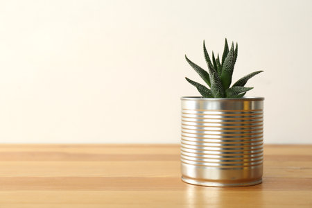 Houseplant in tin can on wooden table, closeup. Space for textの写真素材