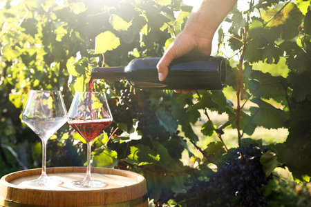 Man pouring wine from bottle into glass in vineyard, closeup