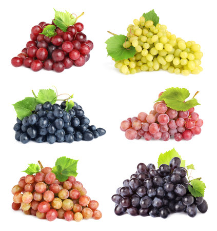Set of fresh grapes on white backgroundの写真素材