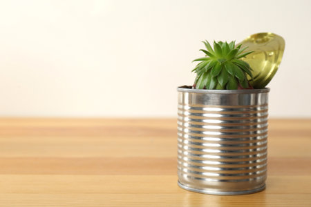 Houseplant in tin can on wooden table, closeup. Space for textの写真素材