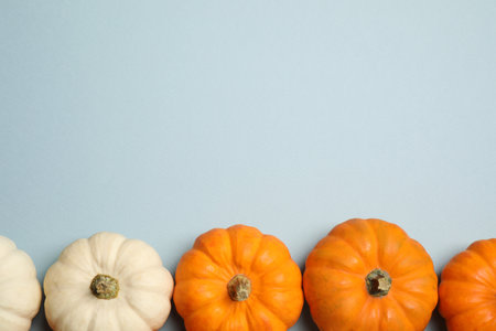 Different ripe pumpkins on light blue background, flat lay. Space for textの写真素材