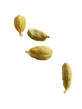 Dry cardamon seeds on white background. Mulled wine ingredientの写真素材