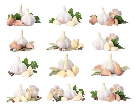 Set with garlic bulbs and cloves on white backgroundの写真素材