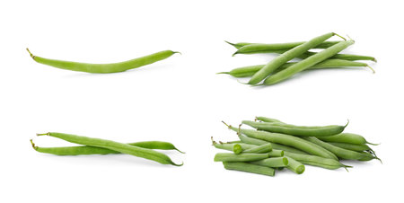 Set of fresh green beans on white background. banner designの写真素材