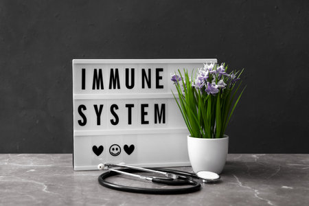 Lightbox with phrase Immune System, plant and stethoscope on gray table