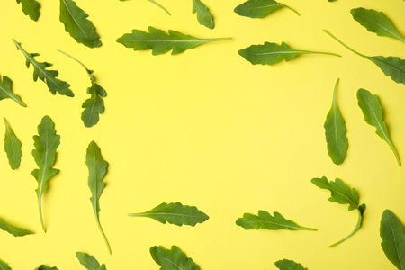 Frame of fresh arugula leaves on yellow background, flat lay. Space for textの写真素材