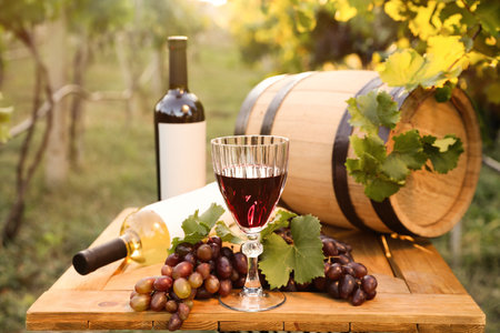 Composition with wine and ripe grapes on wooden table in vineyardの写真素材