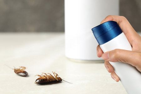 pest control. Using household insecticide to kill cockroaches at home, closeupの写真素材