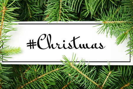 Blank card with hashtag Christmas on fir tree branches, top viewの写真素材