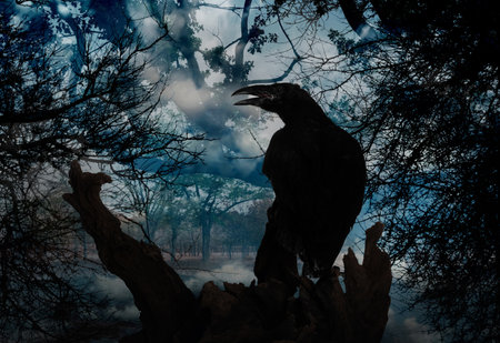 Black crow sitting on old tree in misty forest. fantasy worldの写真素材