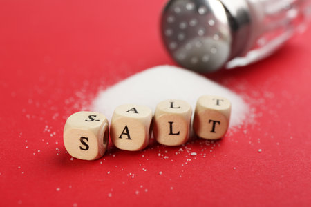 Word SALT made with cubes on red background, closeupの写真素材