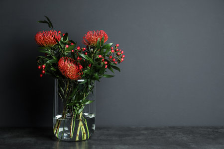 Bouquet with beautiful red protea flowers in glass vase on table against black background. Space for textの写真素材