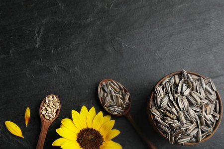 Raw sunflower seeds and flower on black table, flat lay. Space for textの写真素材