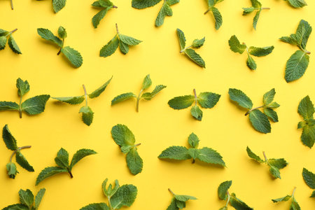 Fresh mint leaves on yellow background, flat lay