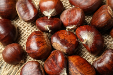 Fresh sweet edible chestnuts on sackcloth, closeupの写真素材