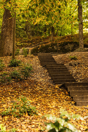 Beautiful view of park with trees and stairs on autumn dayの写真素材